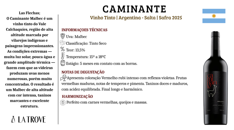 Vinho Tinto Caminante Malbec 2025