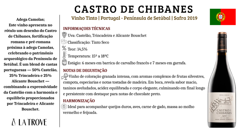 Vinho Tinto Adega Camolas Castro de Chibanes 2019
