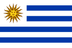 Bandeira do país