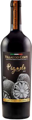 Vinho Villaggio Conti Pignolo 2021