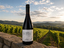 Vinho Tinto Pinot Noir Alto dos Ventos Classico 2025