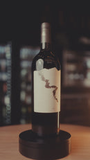 Vinho Tinto Excava Carmenere 2022