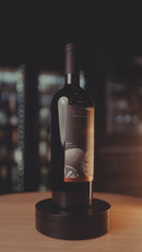 Vinho Villaggio Conti Pignolo 2021