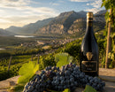 Vinho Tinto Manus Clássico Teroldego 2022